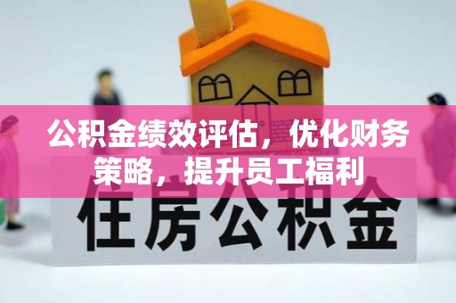 盘龙公积金绩效评估，优化财务策略，提升员工福利