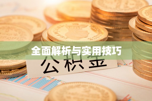 盘龙全面解析与实用技巧