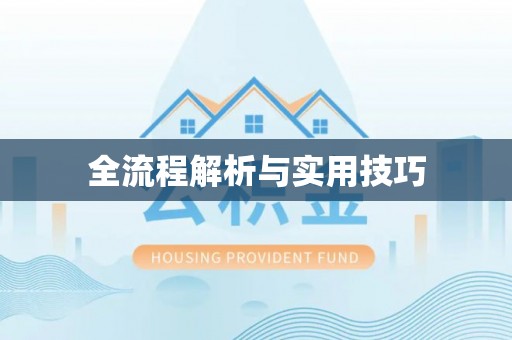 盘龙全流程解析与实用技巧