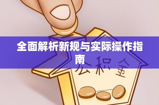 盘龙全面解析新规与实际操作指南