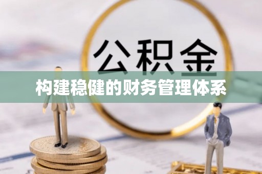 盘龙构建稳健的财务管理体系