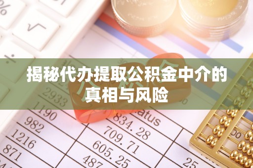 盘龙揭秘代办提取公积金中介的真相与风险