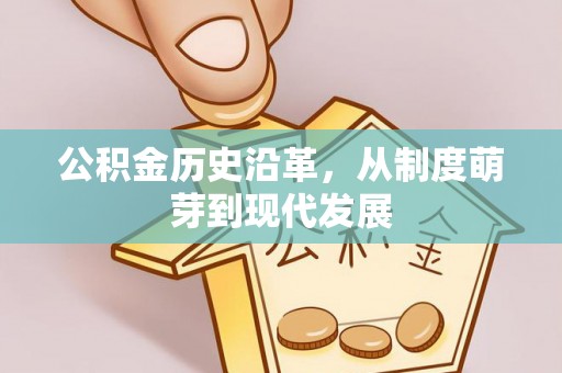 盘龙公积金历史沿革，从制度萌芽到现代发展