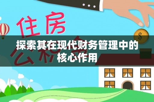 盘龙探索其在现代财务管理中的核心作用