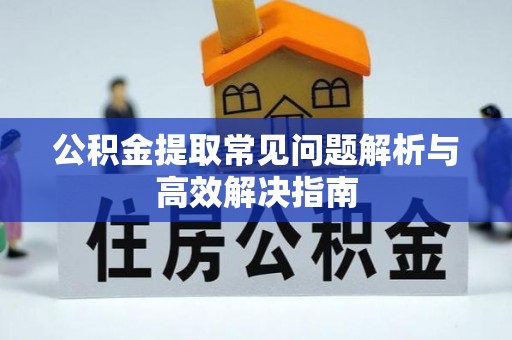 盘龙公积金提取常见问题解析与高效解决指南