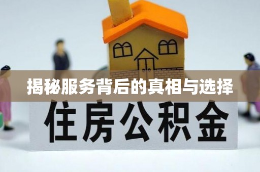 盘龙揭秘服务背后的真相与选择