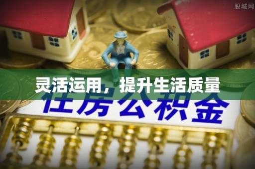 盘龙灵活运用，提升生活质量