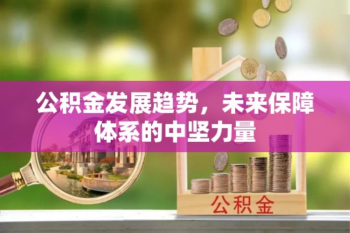 盘龙公积金发展趋势，未来保障体系的中坚力量