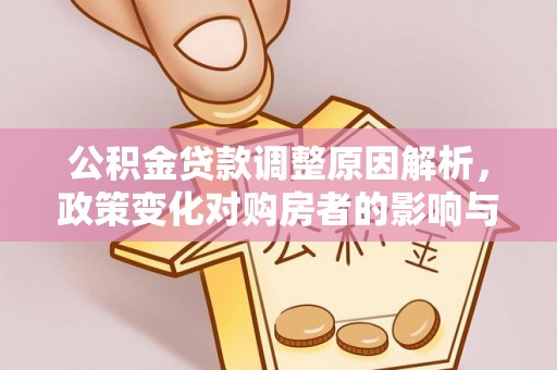 盘龙公积金贷款调整原因解析，政策变化对购房者的影响与应对