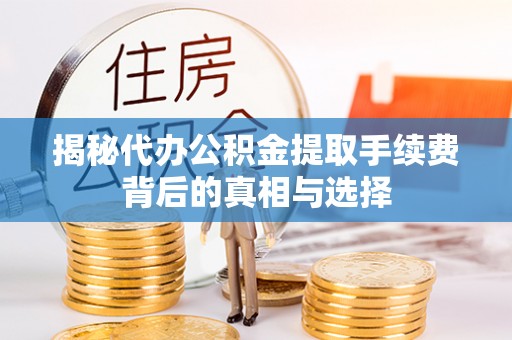 盘龙揭秘代办公积金提取手续费背后的真相与选择