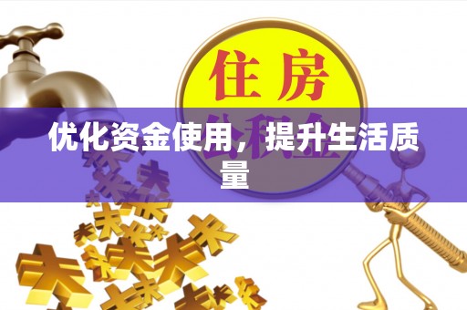 盘龙优化资金使用，提升生活质量