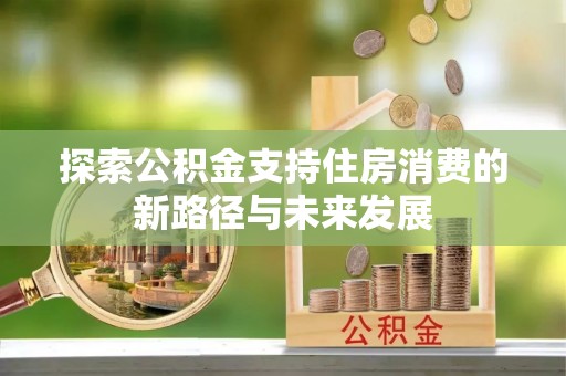 盘龙探索公积金支持住房消费的新路径与未来发展