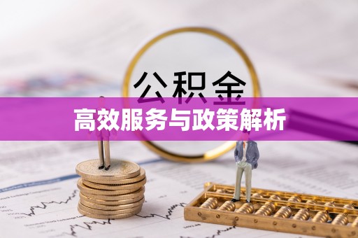盘龙高效服务与政策解析