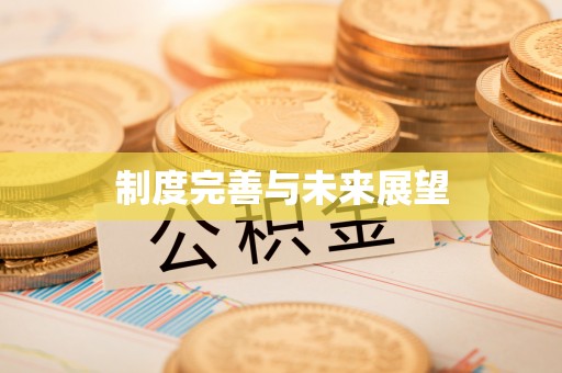 盘龙制度完善与未来展望