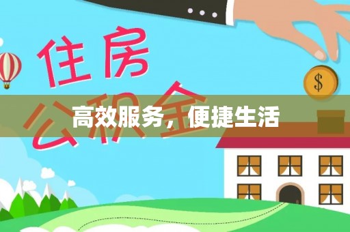 盘龙高效服务，便捷生活