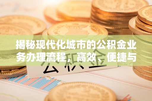 盘龙揭秘现代化城市的公积金业务办理流程，高效、便捷与未来趋势