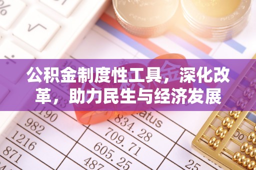 盘龙公积金制度性工具，深化改革，助力民生与经济发展