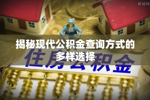 盘龙揭秘现代公积金查询方式的多样选择