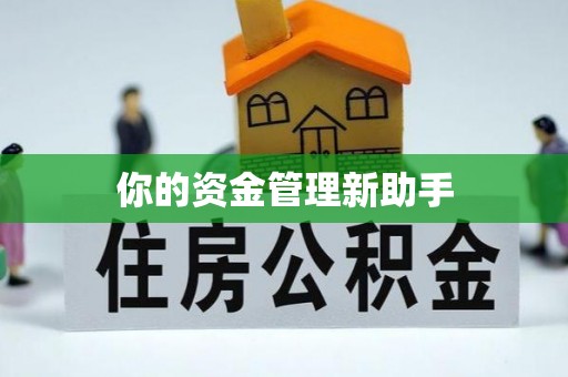 盘龙你的资金管理新助手