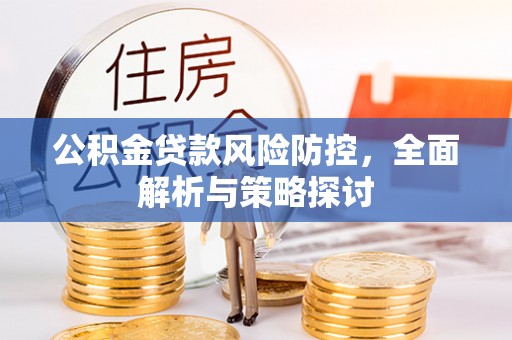 盘龙公积金贷款风险防控，全面解析与策略探讨