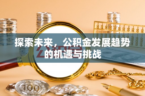 盘龙探索未来，公积金发展趋势的机遇与挑战