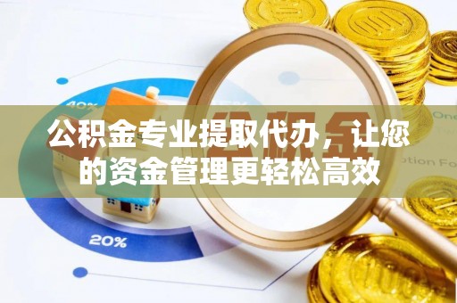 盘龙公积金专业提取代办，让您的资金管理更轻松高效