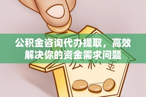 盘龙公积金咨询代办提取，高效解决你的资金需求问题