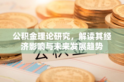 盘龙公积金理论研究，解读其经济影响与未来发展趋势