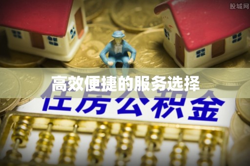 盘龙高效便捷的服务选择